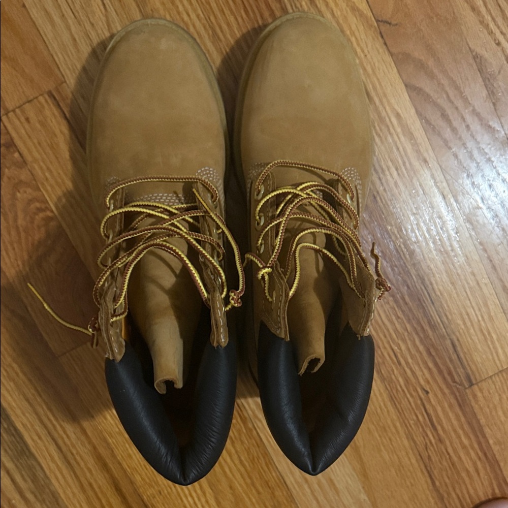 Timberland Classic Wheat Boots with Dark Brown Collar - Picture 2 of 4